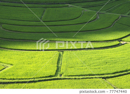 在有田川蜿蜒曲折的地方,壯麗的景色蔓延開來 在有田川蜿蜒曲折的地方,壯麗的景色蔓延開來 77747440