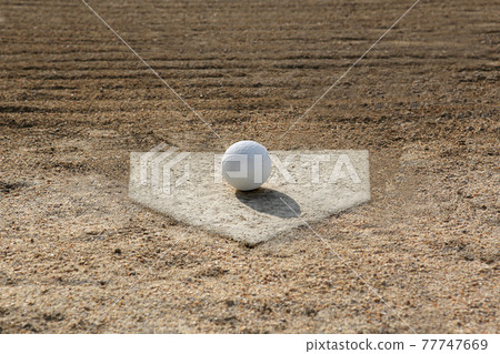 Image of baseball Softball Image of baseball Softball 77747669