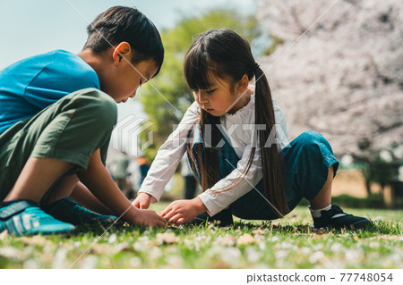 Friends Friends 77748054