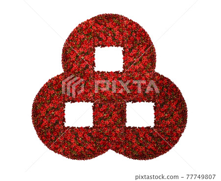 A bunch of wreaths made by Roses  77749807