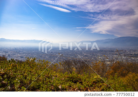 View from Yamanashi Prefectural Takeda no Mori / Prefectural Forest of Autumn Leaves 77750012