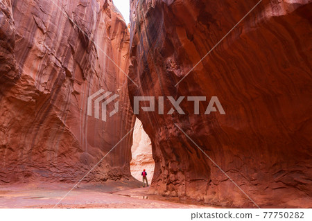 Slot canyon 77750282