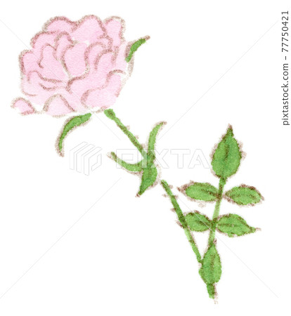 Watercolor illustration of pink roses and mini roses 77750421
