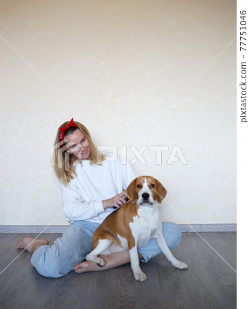 a young woman combing a beagle dog with a furminator. grooming at home a young woman combing a beagle dog with a furminator. grooming at home 77751046