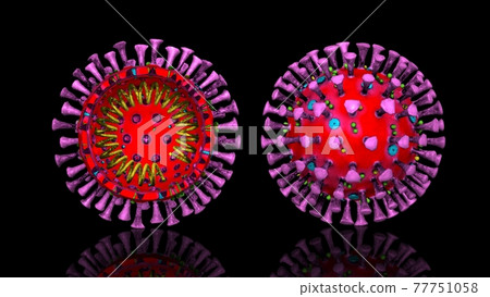 Coronavirus (COVID-19) cross section Coronavirus (COVID-19) cross section 77751058