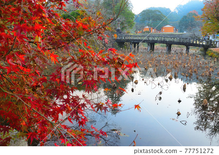 Castle of Hitoyoshi 77751272