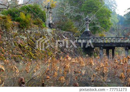Castle of Hitoyoshi 77751273