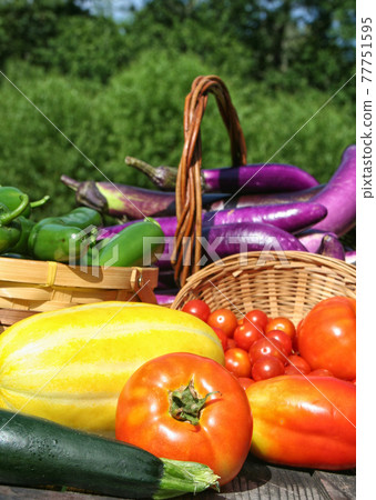 Fresh Summer Vegetable Harvest Fresh Organic Food Concept 77751595