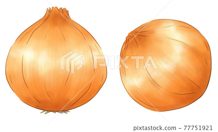 Onion Onion 77751921