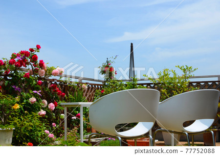 Relax in the outdoor living room flower garden on the roof balcony 77752088