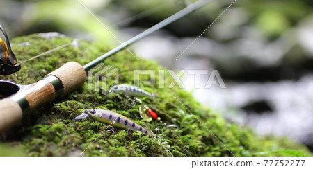 Mountain stream lure fishing and clear stream green image Mountain stream lure fishing and clear stream green image 77752277