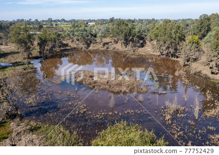 Drone aerial photograph of a polluted lake in Yarramundi Reserve in regional Australia Drone aerial photograph of a polluted lake in Yarramundi Reserve in regional Australia 77752429