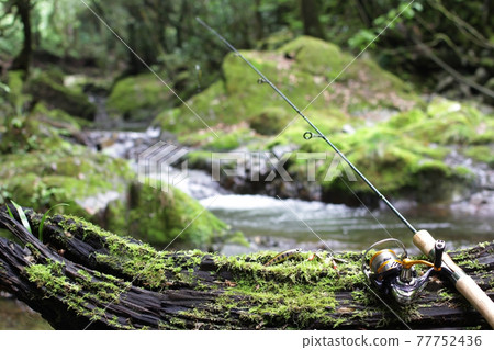 山溪誘釣，清溪綠意 77752436