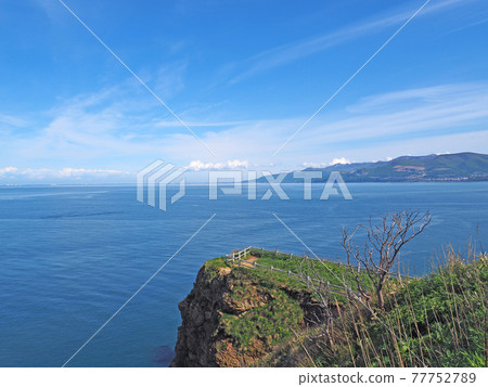 View from Otaru Hiyoriyama Lighthouse 77752789