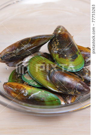 New Zealand Green Muscle 77753263