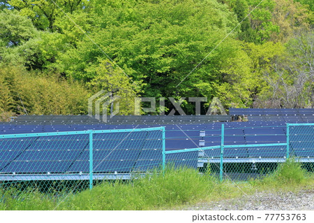 Fenced solar panel 77753763
