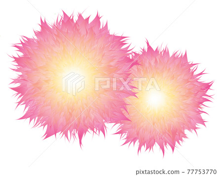 花圖煙花大花 花圖煙花大花 77753770