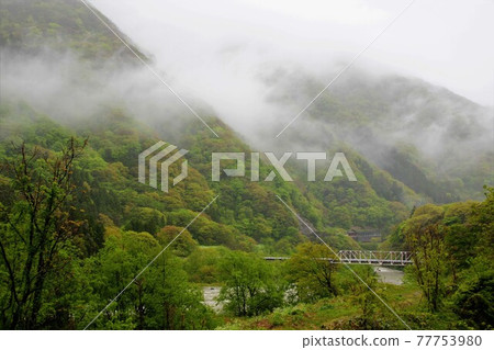 Mountainy mountain 77753980