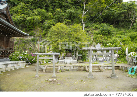 Goryo Shrine (Kamakura Gongoro Shrine) 77754102