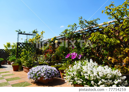 頂樓屋頂陽台園藝，鮮花盛開，綠意盎然 77754259