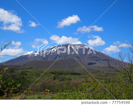 Early summer spring Kotani Pass 77754599