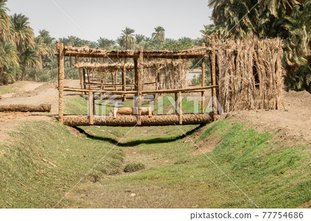 Bridge of trunks of palm trees across an irrigation ditch next to the Nile in Sudan Bridge of trunks of palm trees across an irrigation ditch next to the Nile in Sudan 77754686