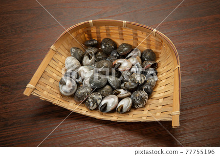 Boiled salted shellfish 77755196