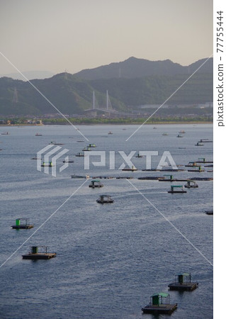 Naruto City, Tokushima Prefecture, overlooking the fishing raft and Konaruto Bridge in the Uchino Sea 77755444