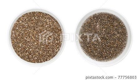 Chia seeds, raw and soaked in water, in white bowls. Fruits of Salvia hispanica, very hygroscopic, absorbing twelve times their weight, giving food a gel texture. Close-up from above macro food photo. Chia seeds, raw and soaked in water, in white bowls. Fruits of Salvia hispanica, very hygroscopic, absorbing twelve times their weight, giving food a gel texture. Close-up from above macro food photo. 77756803