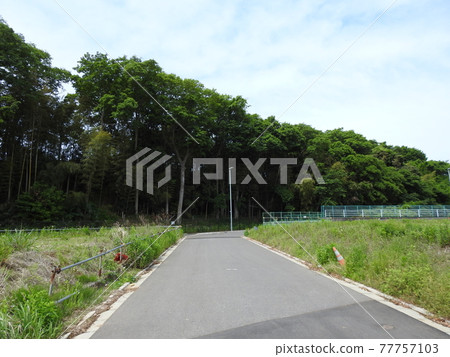 長廊！ .. ..真是讓人心曠神怡的風景！ .. .. （笑聲）。 .. 77757103