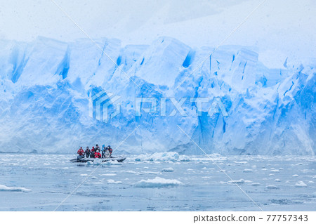Snowfall over boat with tourists in the bay full of icebergs with huge glacier wall in the background, near Almirante Brown, Antarctic peninsula 77757343
