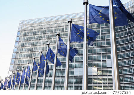 EU Flags near The European Parliament, Brussels, Belgium - 02 Mar 2011 77757524