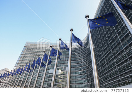 EU Flags near The European Parliament, Brussels, Belgium - 02 Mar 2011 EU Flags near The European Parliament, Brussels, Belgium - 02 Mar 2011 77757525