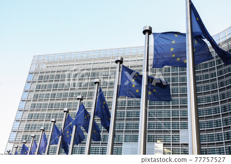EU Flags near The European Parliament, Brussels, Belgium - 02 Mar 2011 EU Flags near The European Parliament, Brussels, Belgium - 02 Mar 2011 77757527