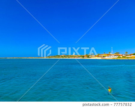 Tourists snorkeling along the coastline and enjoy the tropical island of Aruba Tourists snorkeling along the coastline and enjoy the tropical island of Aruba 77757832