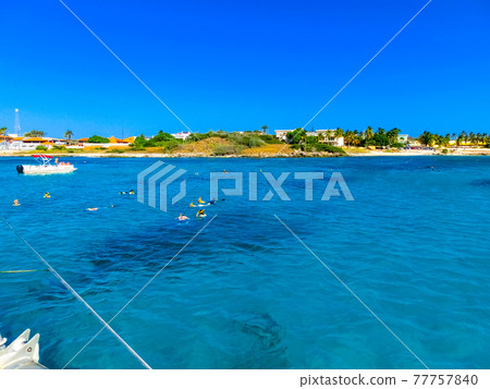 Tourists snorkeling along the coastline and enjoy the tropical island of Aruba 77757840