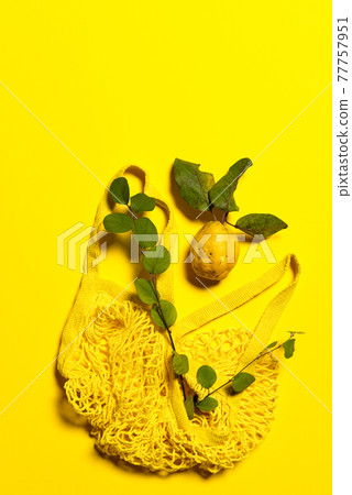 Quince apple with tree branches and net bag 77757951