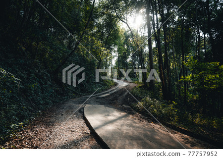 Road through a valley from above 77757952