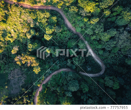 Road through a valley from above 77757955