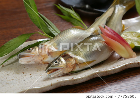 Salt-grilled salmon 77758603