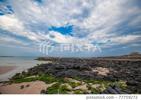 Jeju Island Jeju Island 77759272