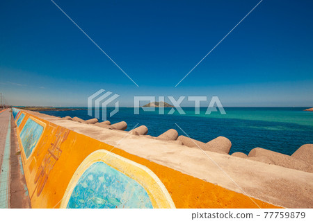 海 海 77759879
