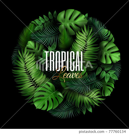 Natural Realistic Green Palm Leaf Tropical Circle Background. Summer Time Concept. Template for advertising web social media and fashion ads. Vector illustration. 77760134