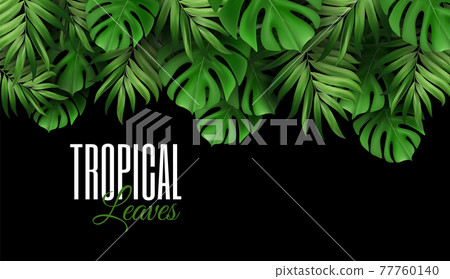 Background of Exotic Tropical Leaves rainforest rainforest bright green palms and monstera. Suitable for nature concept vacation and summer holiday. Vector Illustration. 77760140