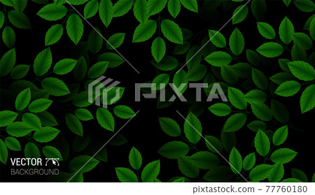 Natural Realistic pattern branch with fresh green leaves. Colorful dark background. Trendy repeat texture for fashion print wallpaper or fabric. Cute vector. Natural Realistic pattern branch with fresh green leaves. Colorful dark background. Trendy repeat texture for fashion print wallpaper or fabric. Cute vector. 77760180