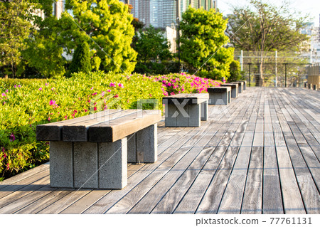 公園景觀與一條長凳 公園景觀與一條長凳 77761131