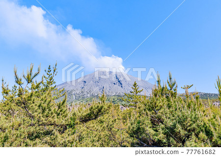 從鹿兒島縣鹿兒島市有村熔岩天文台看到的櫻島 從鹿兒島縣鹿兒島市有村熔岩天文台看到的櫻島 77761682