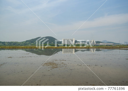 Hojobeol, Siheung-si, Gyeonggi-do 77761896