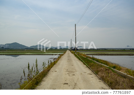 Hojobeol, Siheung-si, Gyeonggi-do 77761897
