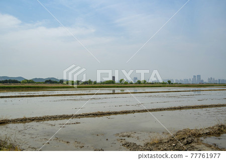 Hojobeol, Siheung-si, Gyeonggi-do 77761977
